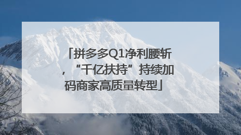 拼多多Q1净利腰斩，“千亿扶持”持续加码商家高质量转型
