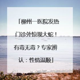 柳州一医院发热门诊外惊现大蛇！有毒无毒？专家辨认：性情温顺
