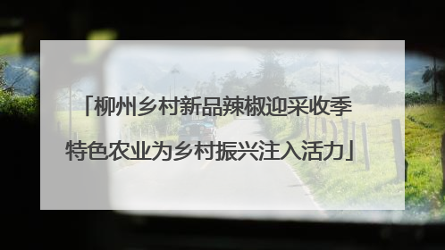 柳州乡村新品辣椒迎采收季 特色农业为乡村振兴注入活力