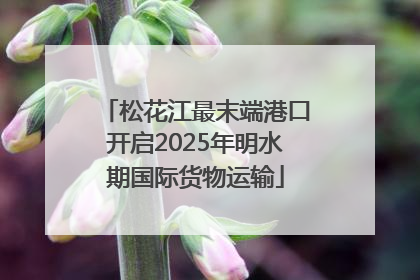 松花江最末端港口开启2025年明水期国际货物运输
