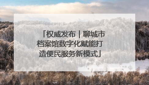 权威发布｜聊城市档案馆数字化赋能打造便民服务新模式