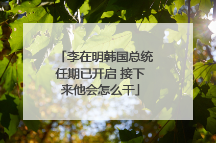 李在明韩国总统任期已开启 接下来他会怎么干