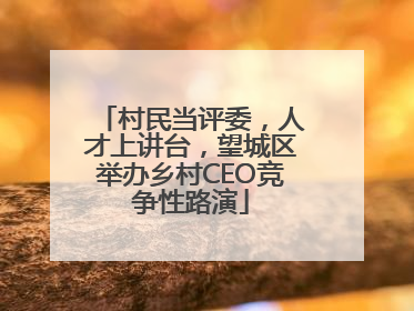 村民当评委，人才上讲台，望城区举办乡村CEO竞争性路演