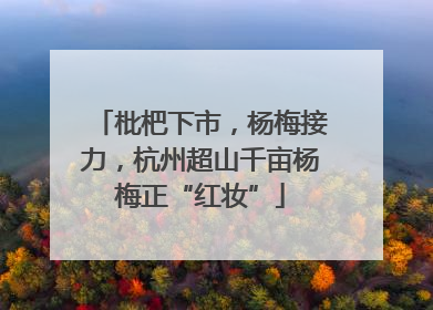 枇杷下市，杨梅接力，杭州超山千亩杨梅正“红妆”