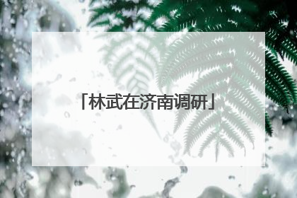 林武在济南调研