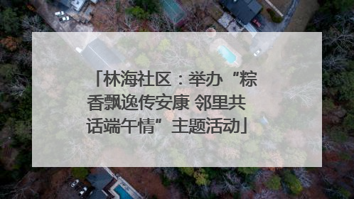林海社区：举办“粽香飘逸传安康 邻里共话端午情”主题活动