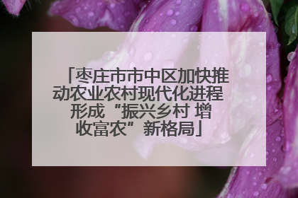 枣庄市市中区加快推动农业农村现代化进程 形成“振兴乡村 增收富农”新格局