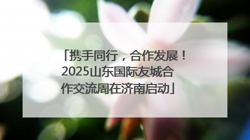 携手同行，合作发展！2025山东国际友城合作交流周在济南启动