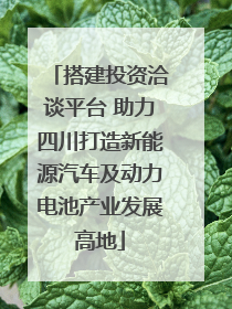 搭建投资洽谈平台 助力四川打造新能源汽车及动力电池产业发展高地