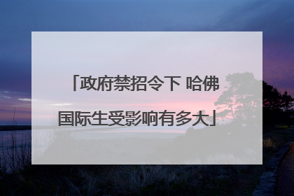 政府禁招令下 哈佛国际生受影响有多大