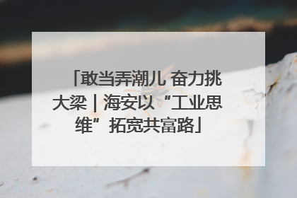 敢当弄潮儿 奋力挑大梁｜海安以“工业思维”拓宽共富路