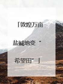 敦煌万亩盐碱地变“希望田”