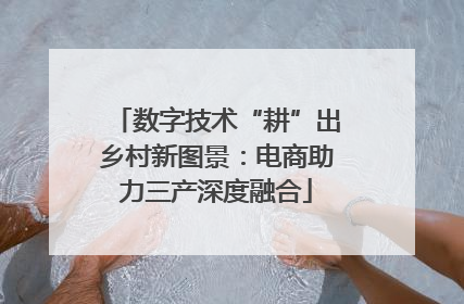 数字技术“耕”出乡村新图景：电商助力三产深度融合