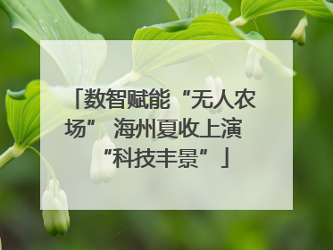 数智赋能“无人农场” 海州夏收上演“科技丰景”