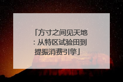 方寸之间见天地：从特区试验田到提振消费引擎
