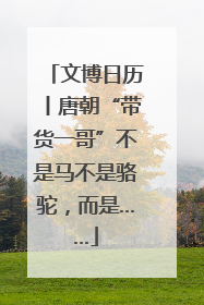 文博日历丨唐朝“带货一哥”不是马不是骆驼，而是……