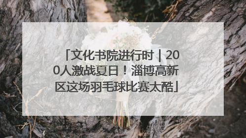 文化书院进行时｜200人激战夏日！淄博高新区这场羽毛球比赛太酷