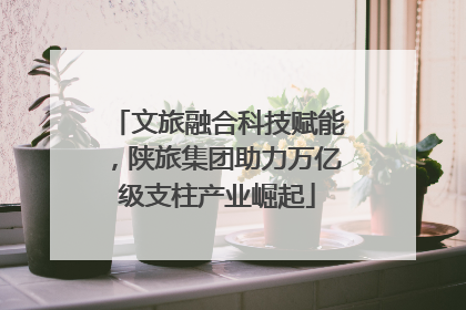 文旅融合科技赋能，陕旅集团助力万亿级支柱产业崛起