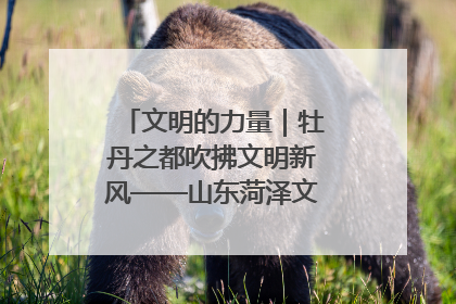 文明的力量｜牡丹之都吹拂文明新风——山东菏泽文明创建一线见闻