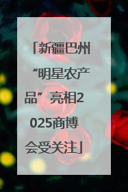 新疆巴州“明星农产品”亮相2025商博会受关注