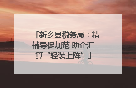 新乡县税务局：精辅导促规范 助企汇算“轻装上阵”