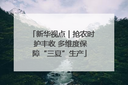 新华视点｜抢农时 护丰收 多维度保障“三夏”生产