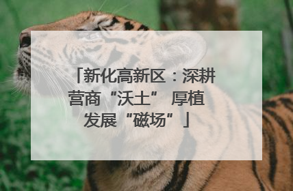 新化高新区：深耕营商“沃土” 厚植发展“磁场”