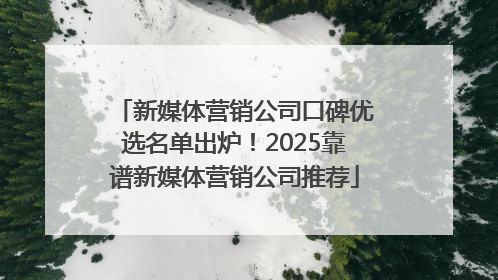 新媒体营销公司口碑优选名单出炉！2025靠谱新媒体营销公司推荐