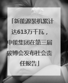 新能源装机累计达613万千瓦，申能集团在第三届碳博会发布社会责任报告