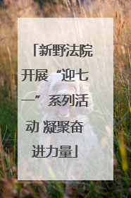 新野法院开展“迎七一”系列活动 凝聚奋进力量