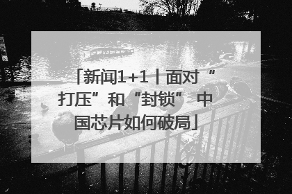 新闻1+1丨面对“打压”和“封锁” 中国芯片如何破局