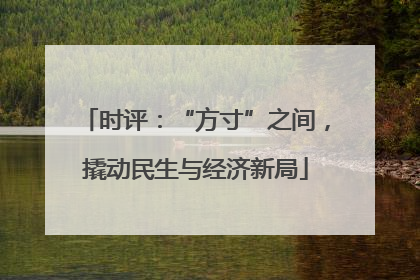 时评：“方寸”之间，撬动民生与经济新局