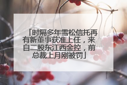 时隔多年雪松信托再有新董事获准上任，来自二股东江西金控，前总裁上月刚被罚