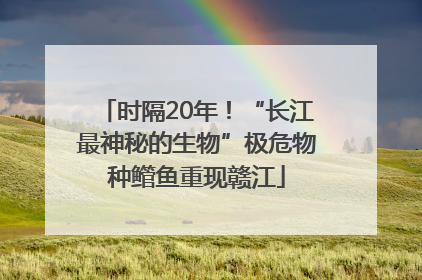 时隔20年！“长江最神秘的生物”极危物种鳤鱼重现赣江