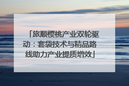 旅顺樱桃产业双轮驱动：套袋技术与精品路线助力产业提质增效
