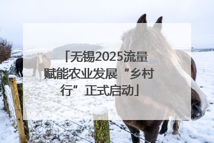 无锡2025流量赋能农业发展“乡村行”正式启动