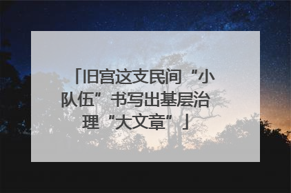 旧宫这支民间“小队伍”书写出基层治理“大文章”