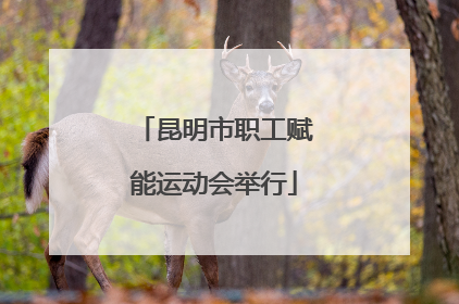 昆明市职工赋能运动会举行