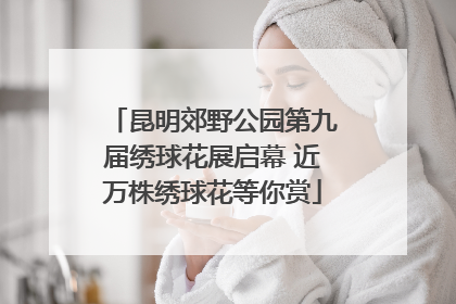 昆明郊野公园第九届绣球花展启幕 近万株绣球花等你赏