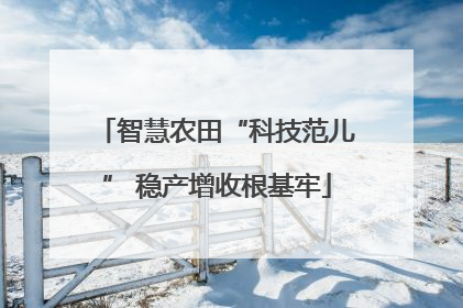 智慧农田“科技范儿” 稳产增收根基牢