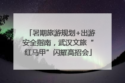 暑期旅游规划+出游安全指南，武汉文旅“红马甲”闪耀高招会