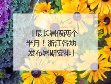 最长暑假两个半月！浙江各地发布暑期安排