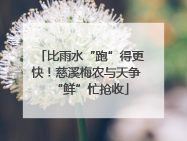 比雨水“跑”得更快！慈溪梅农与天争“鲜”忙抢收