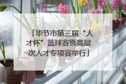 毕节市第三届“人才杯”篮球赛暨高层次人才专项赛举行