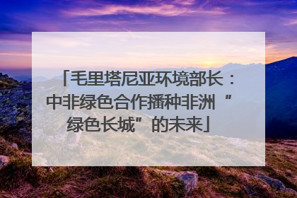 毛里塔尼亚环境部长：中非绿色合作播种非洲“绿色长城”的未来