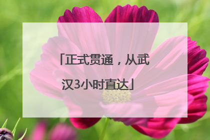 正式贯通，从武汉3小时直达