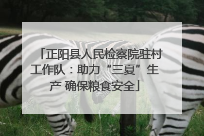 正阳县人民检察院驻村工作队：助力“三夏”生产 确保粮食安全