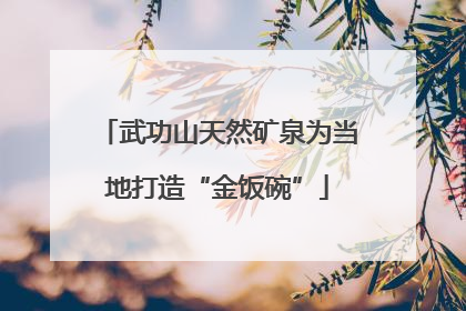 武功山天然矿泉为当地打造“金饭碗”