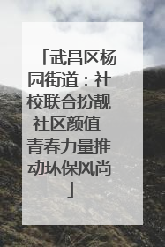 武昌区杨园街道：社校联合扮靓社区颜值 青春力量推动环保风尚