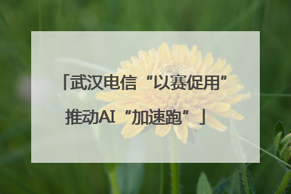 武汉电信“以赛促用”推动AI“加速跑”